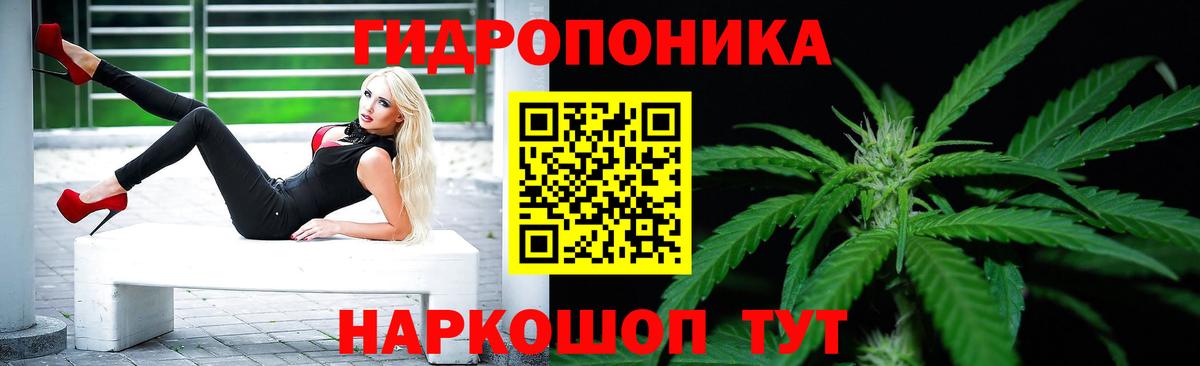 Канабис конопля  Бошки Шишки THC 21%  Новоалександровск  Вход с VPN  Бошки Шишки Amnesia 
